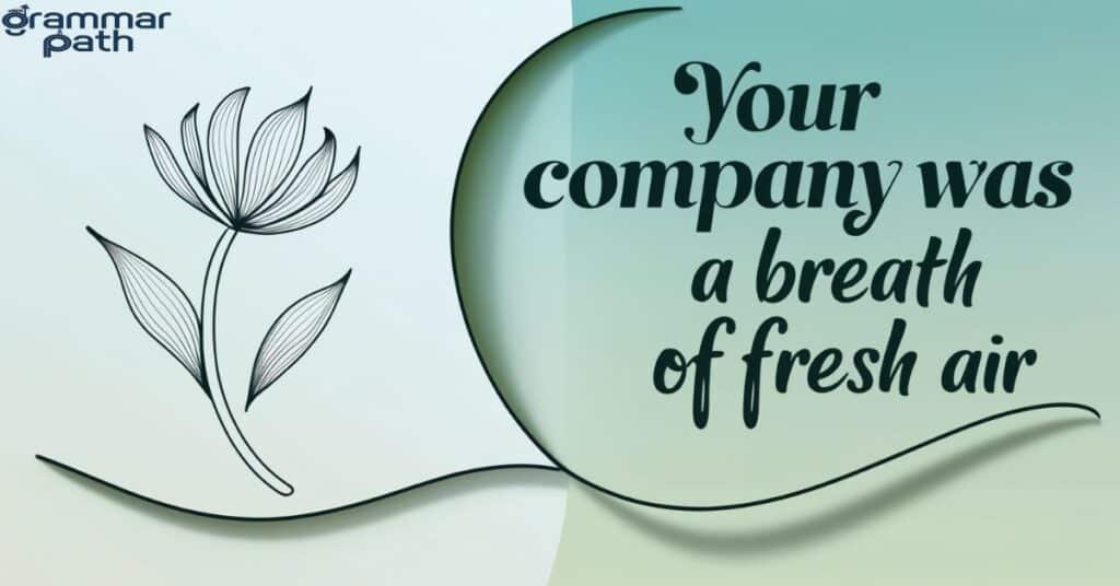 "Your company was a breath of fresh air."