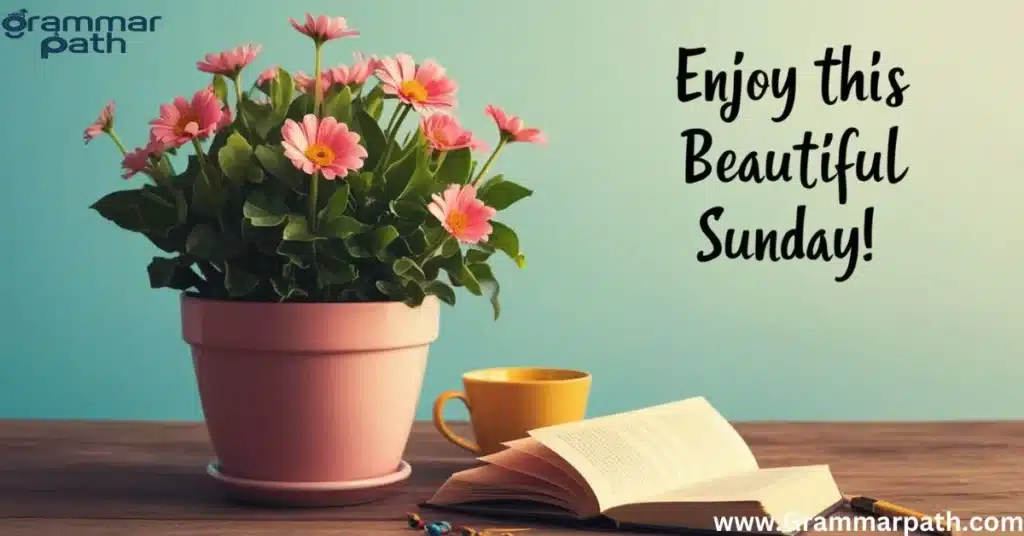 Enjoy This Beautiful Sunday!