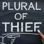 Plural of Thief