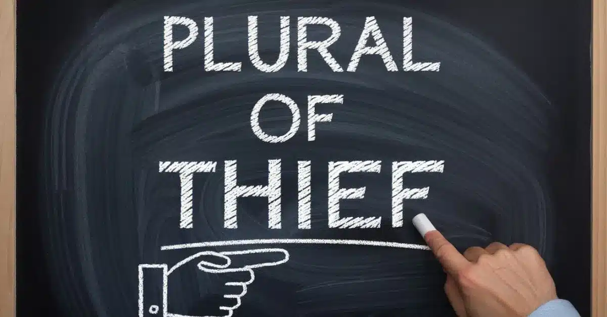 Plural of Thief